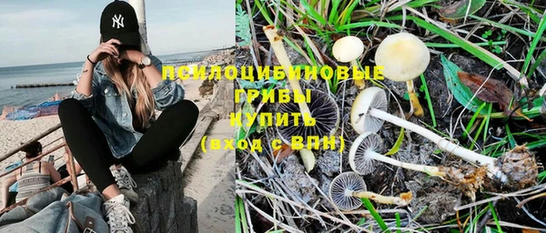 герыч Арсеньев