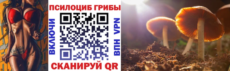 дарнет шоп  Малоярославец  Галлюциногенные грибы GOLDEN TEACHER 